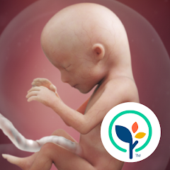 BabyCenter Pregnancy Tracker